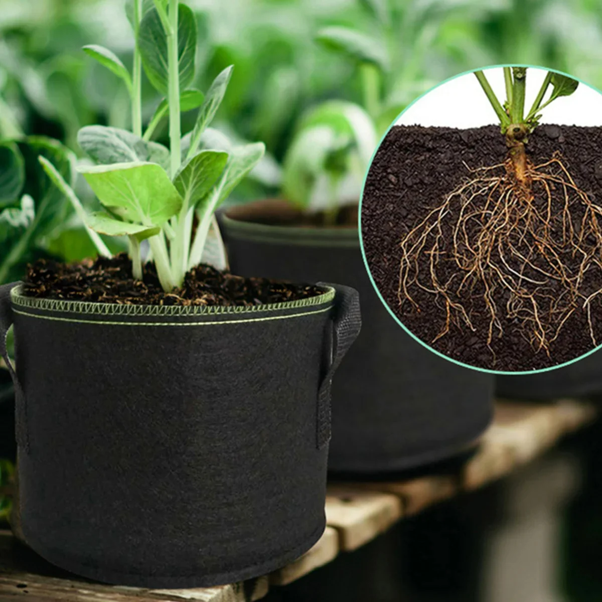 POT DE PLANTATION RESPIRANT EN GEOTEXTILE - Image 4