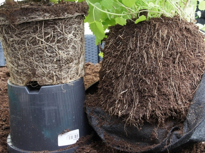 POT DE PLANTATION RESPIRANT EN GEOTEXTILE - Image 5